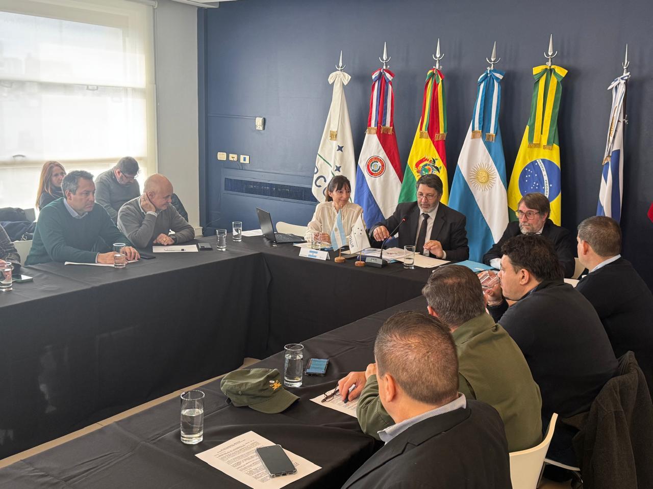 Grupo de trabajo sobre transporte terrestre de mercancías peligrosas en el Mercosur(GTMP)